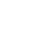 ISG